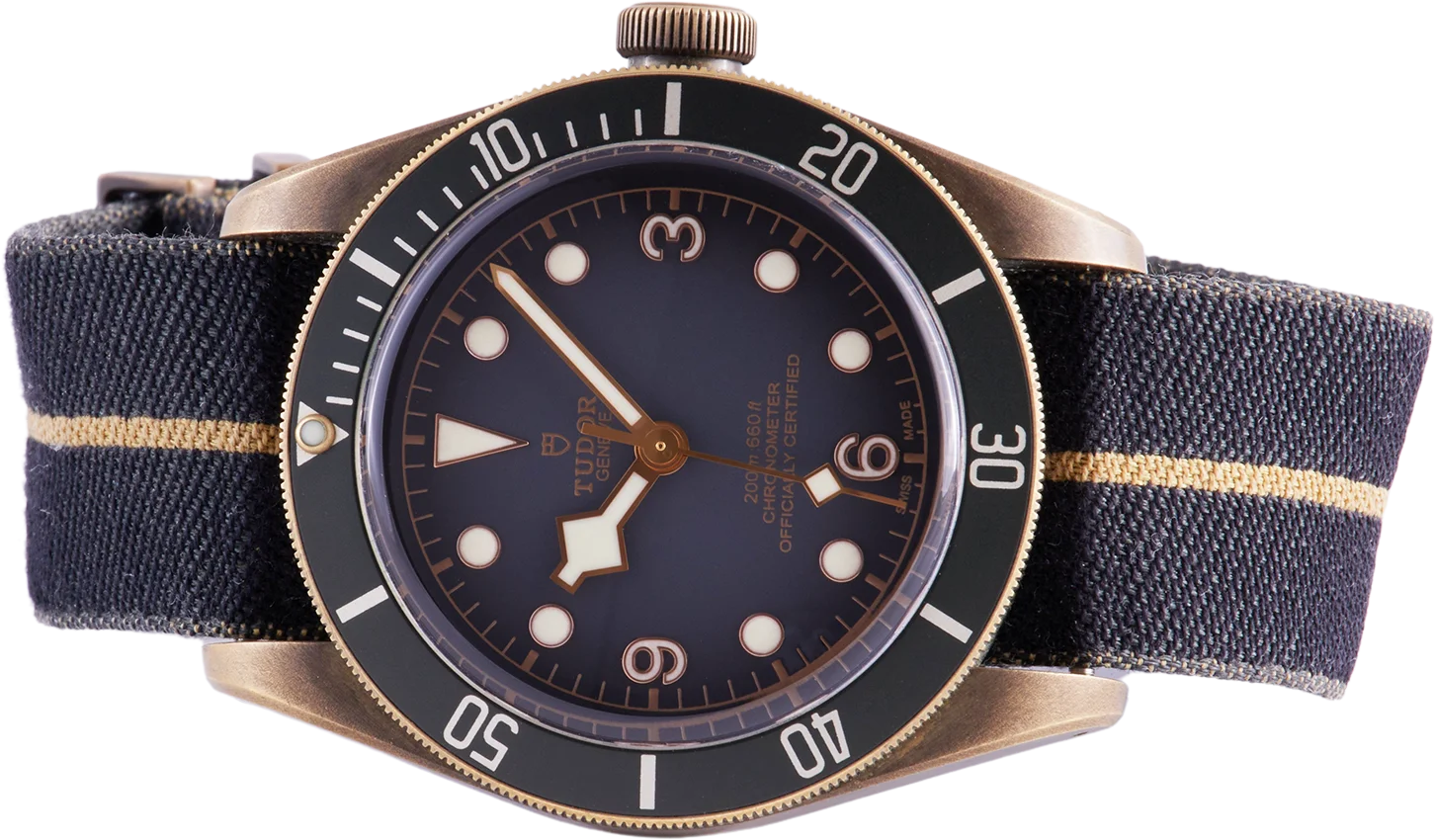 Tudor Black Bay Bronze 79250BA